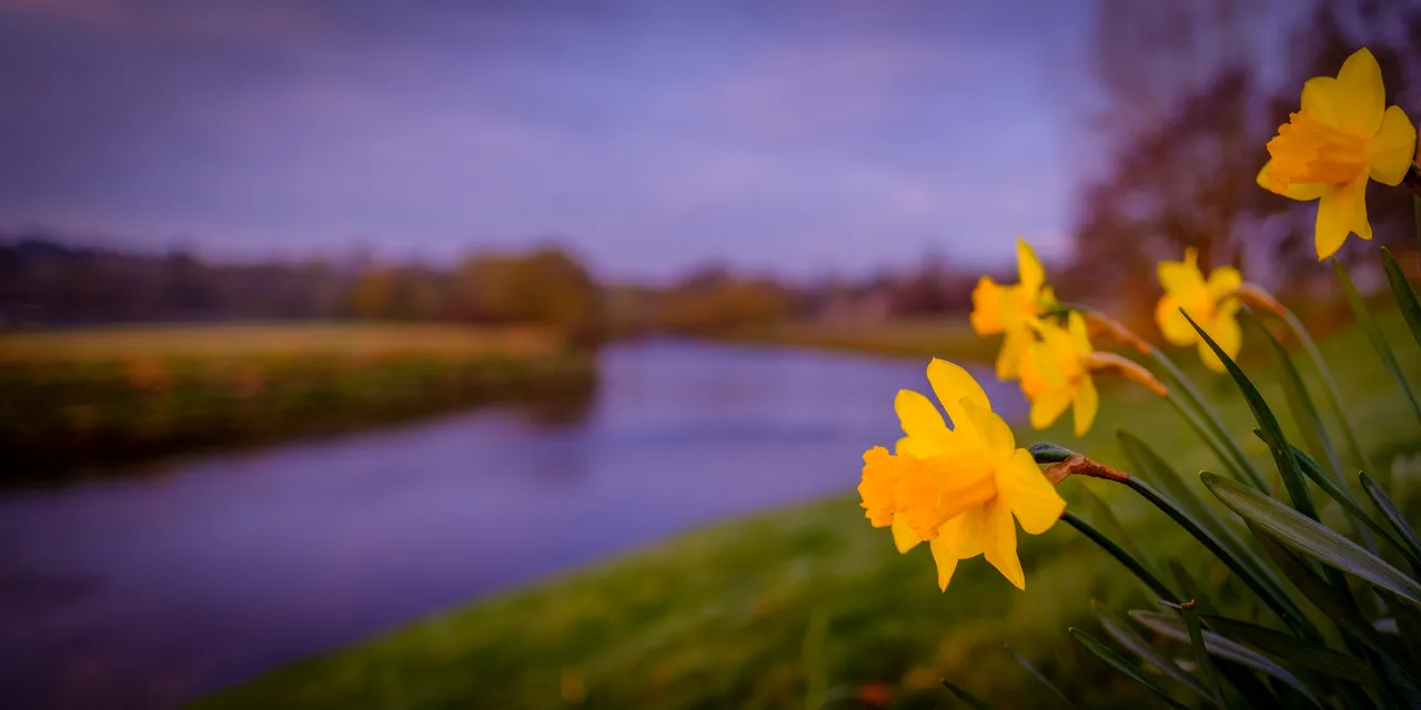 River Tweed