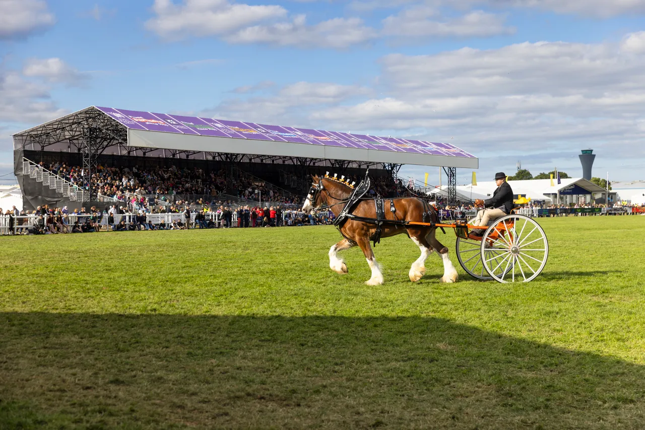 The Royal Highland Show