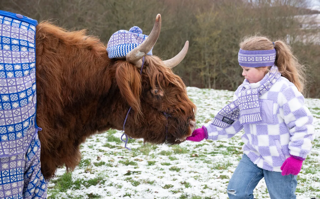 Coos in Cardis