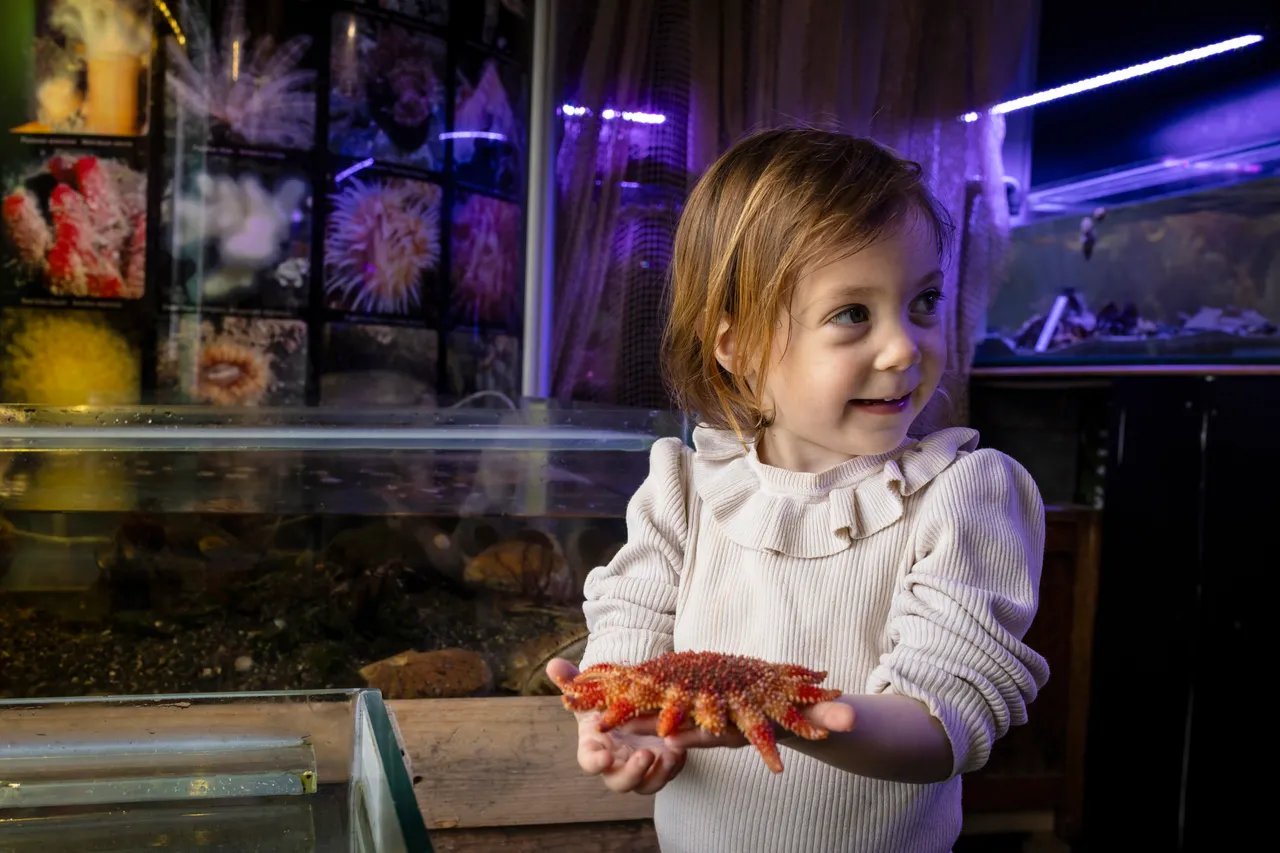 Mull Aquarium in Tobermory