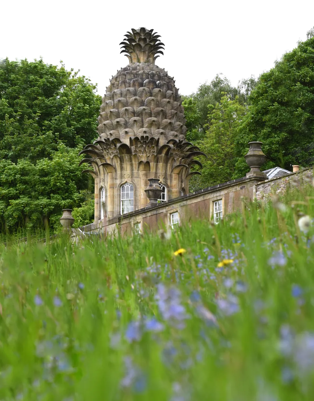 Dunmore Pineapple