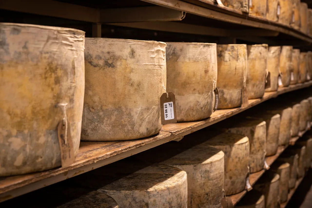 Isle of Mull Cheese