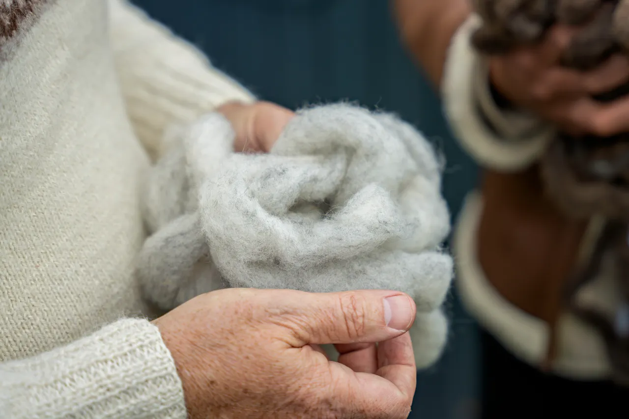 Lunan Bay Farm – Scottish Cashmere Goats