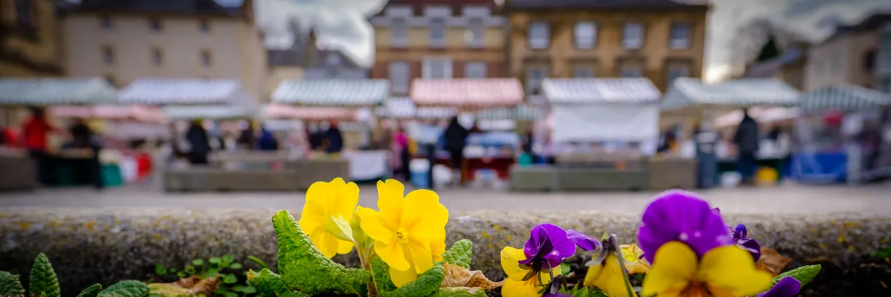 Kelso Farmers Market (KFM)