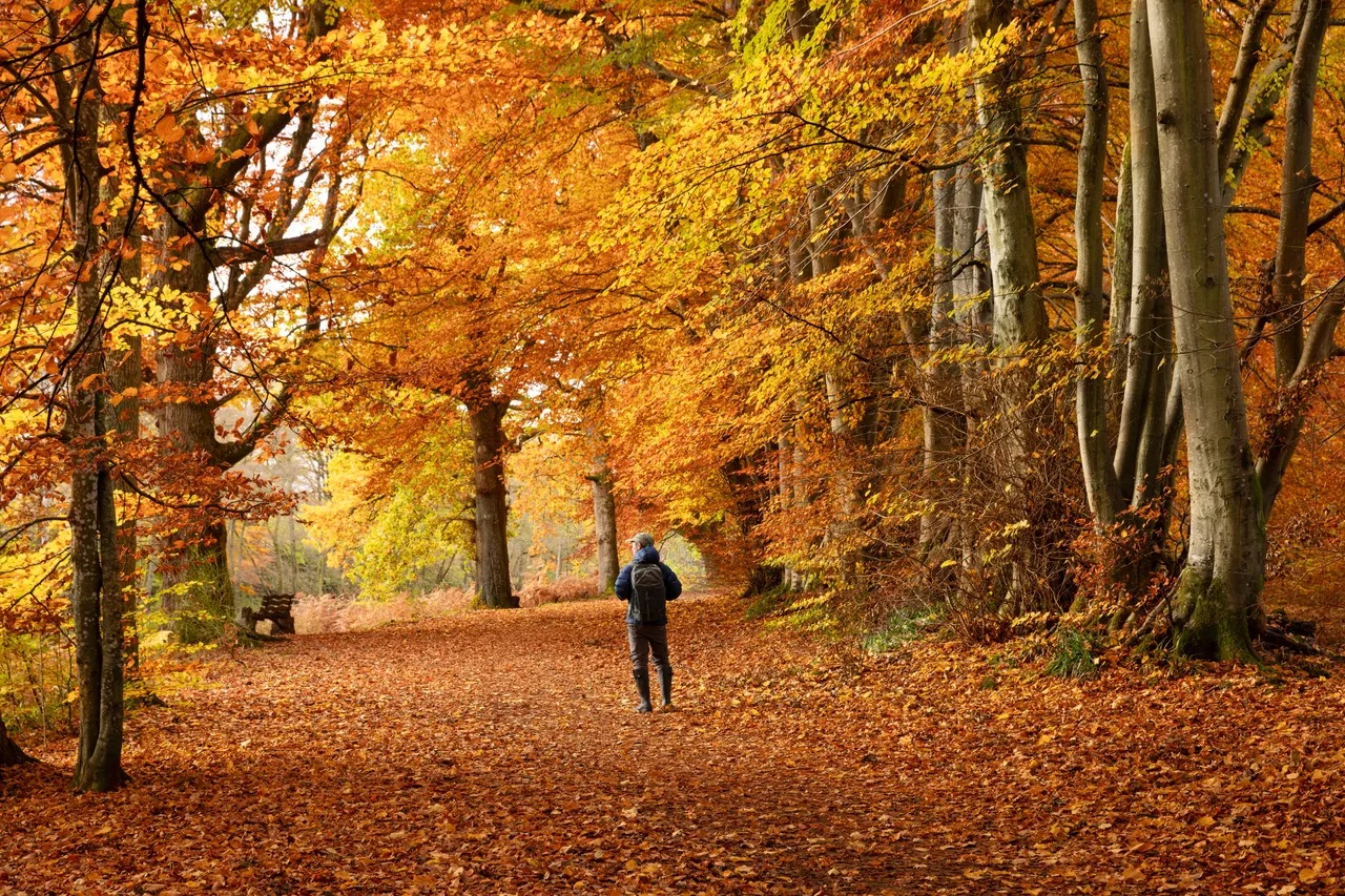 Lady Mary’s Walk