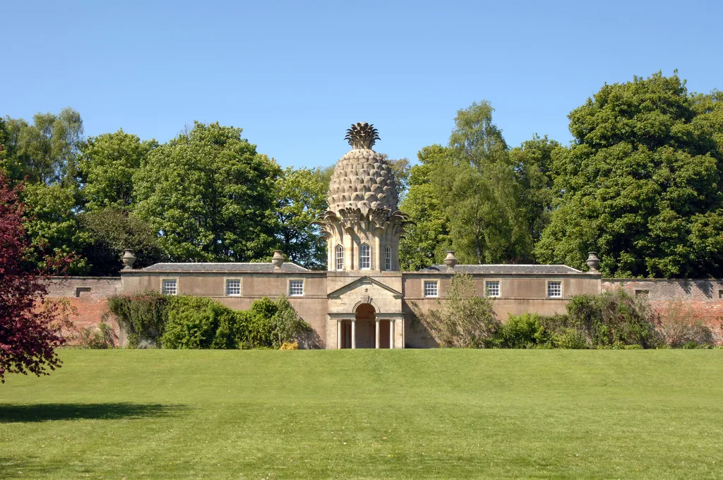 Dunmore Pineapple