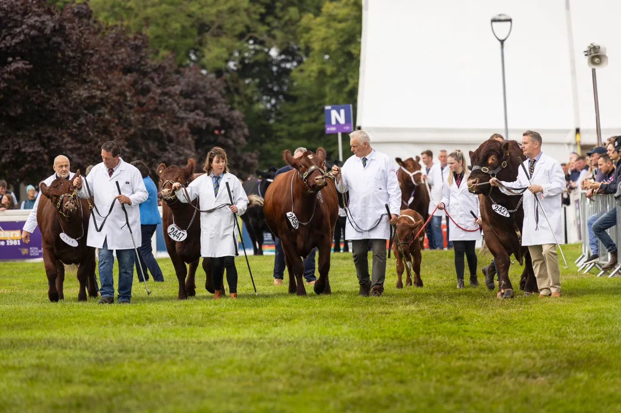 Royal Highland Show