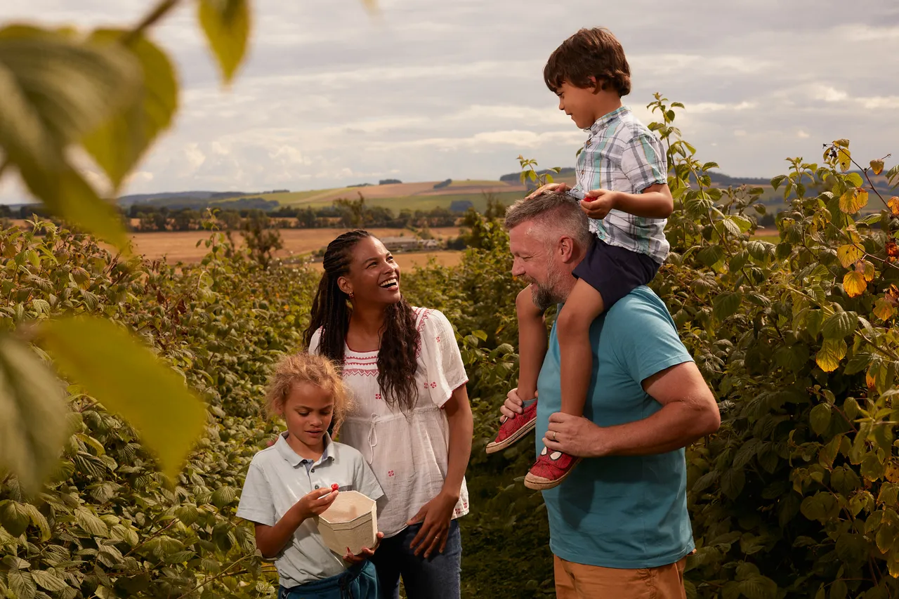 Cairnie Fruit Farm