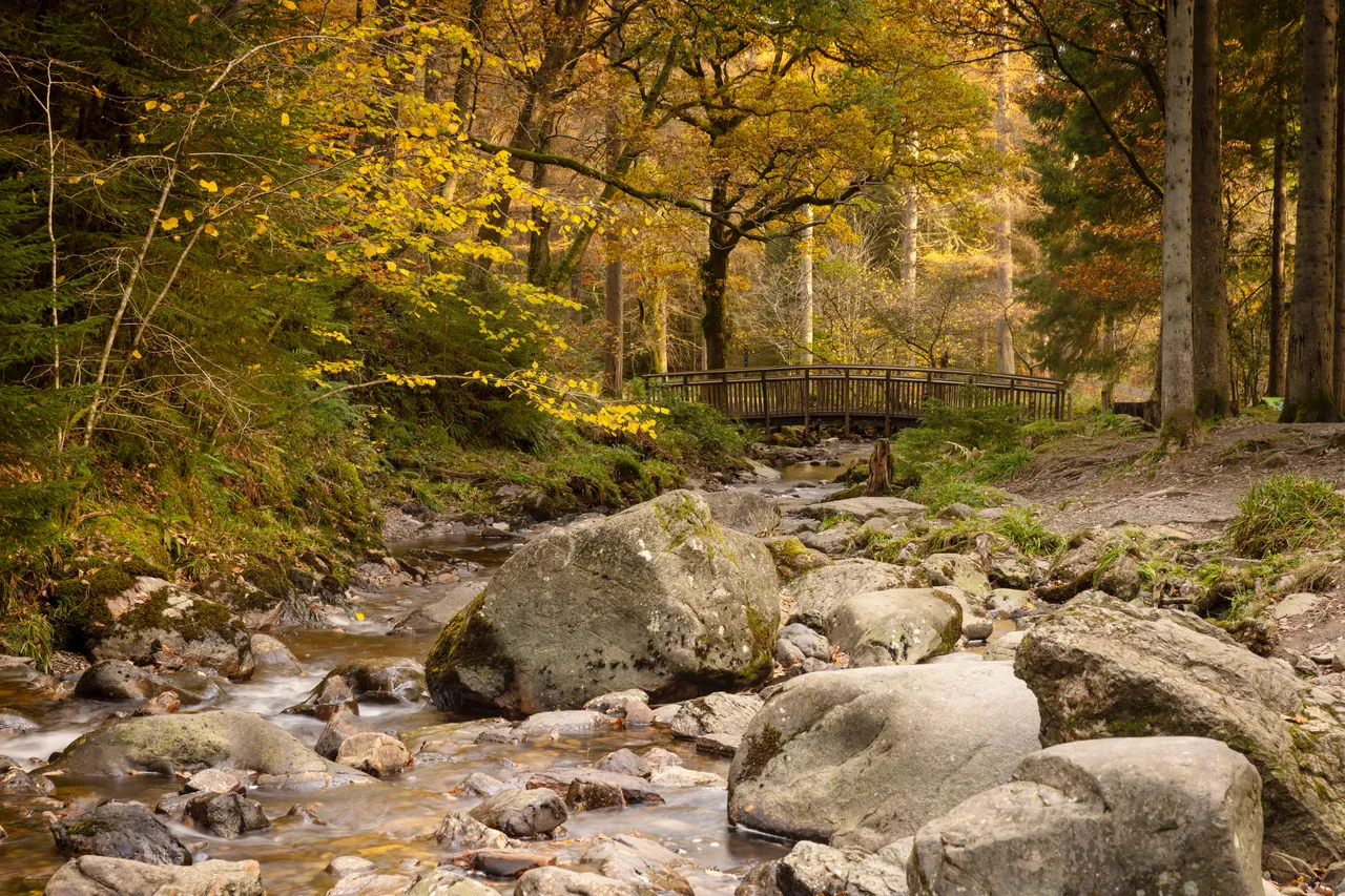 Queen Elizabeth Forest Park