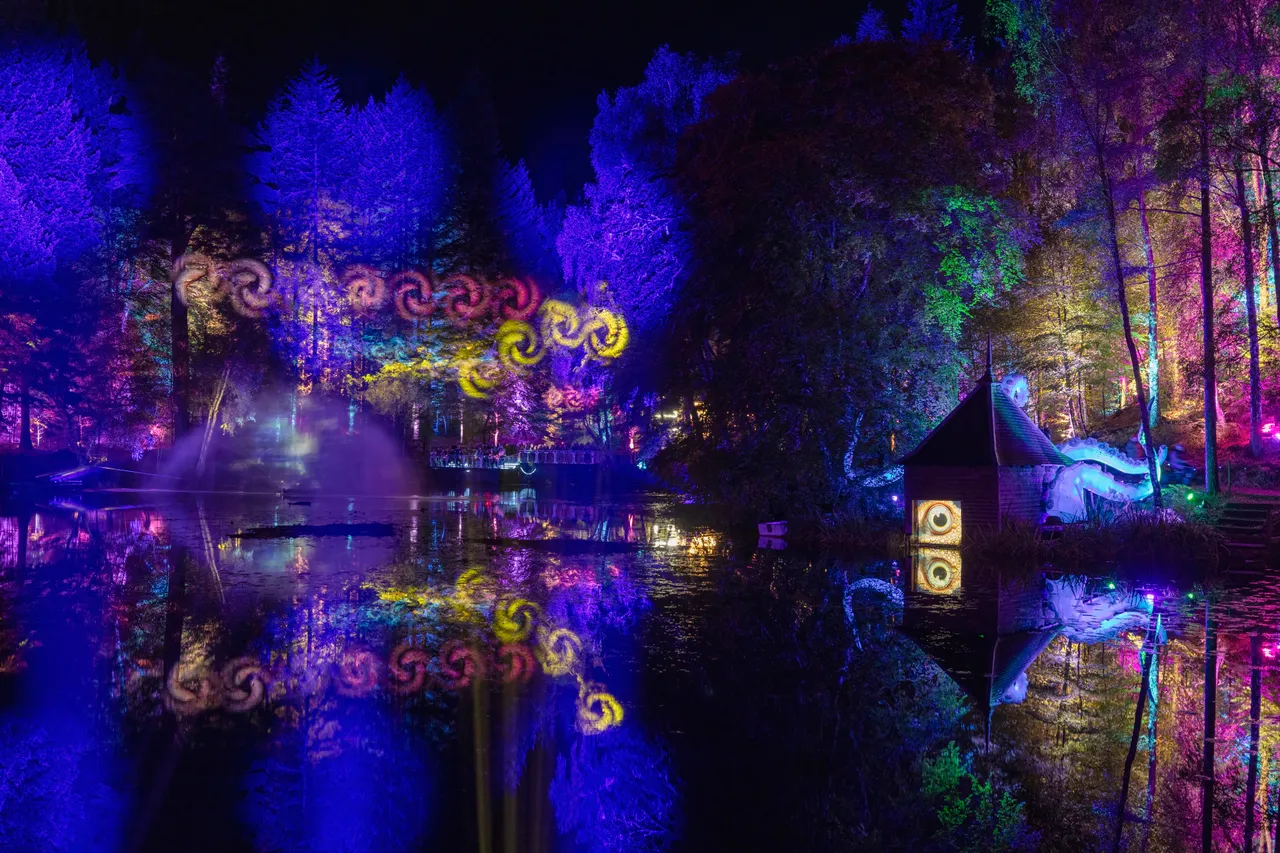 The Enchanted Forest