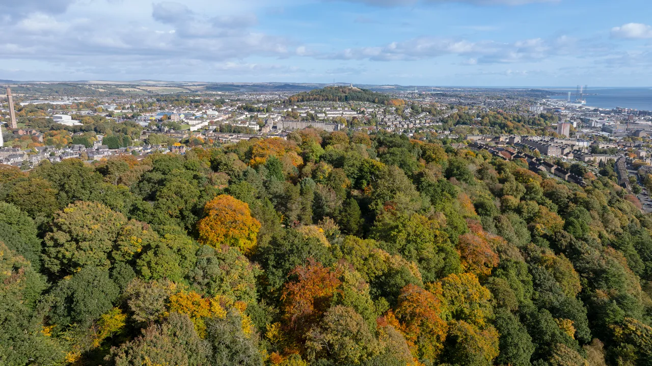 Dundee Skyline