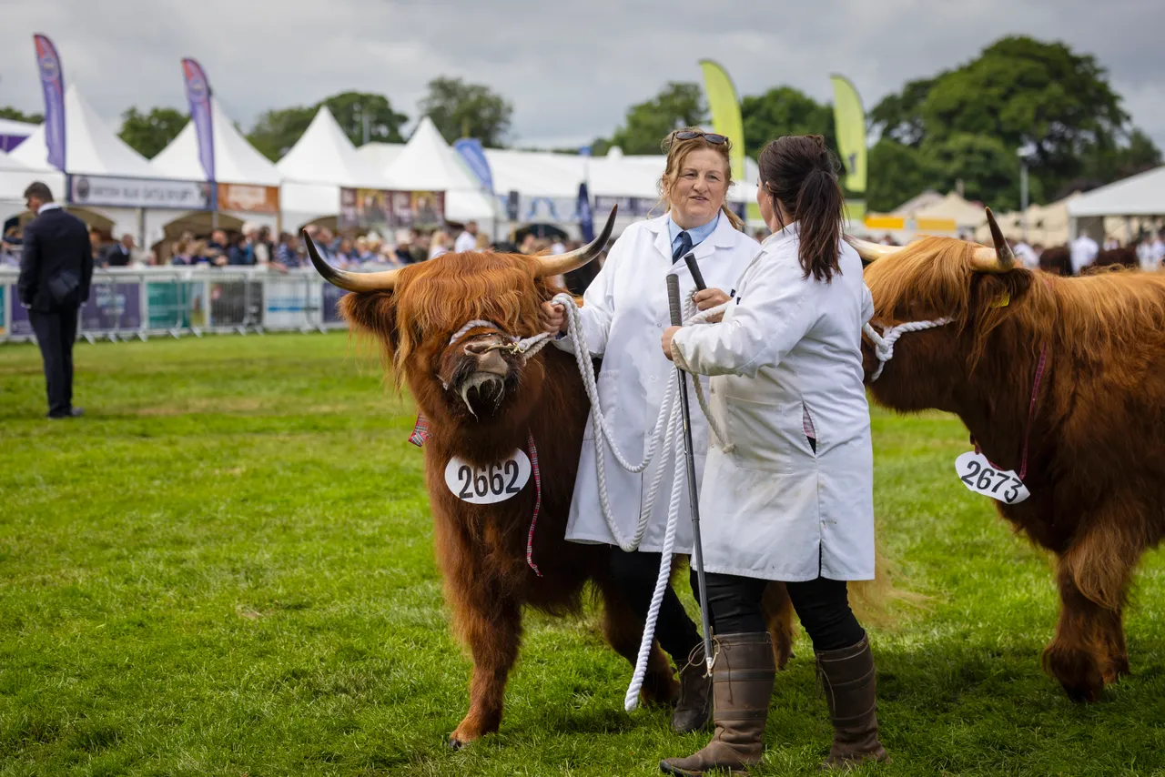 Royal Highland Show