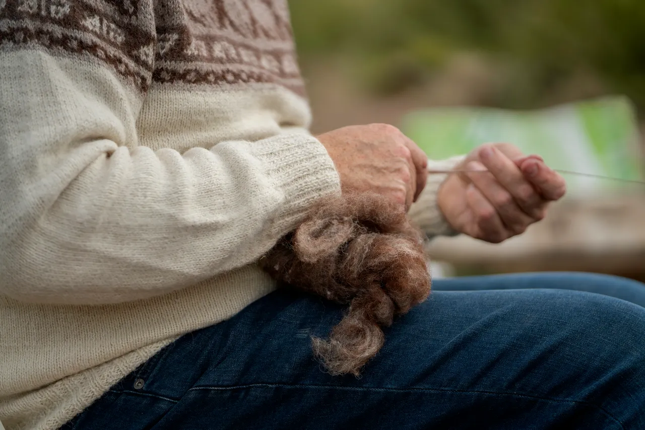 Lunan Bay Farm – Scottish Cashmere Goats