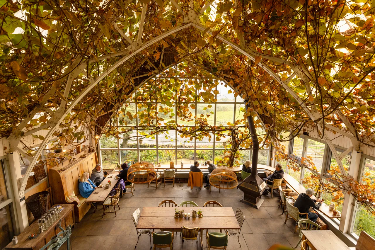 The Glass Barn