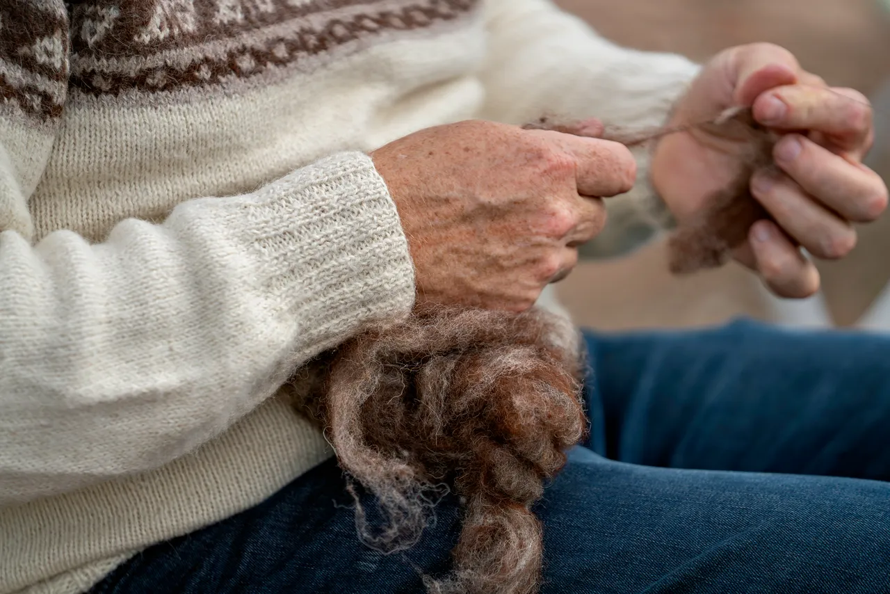 Lunan Bay Farm – Scottish Cashmere Goats