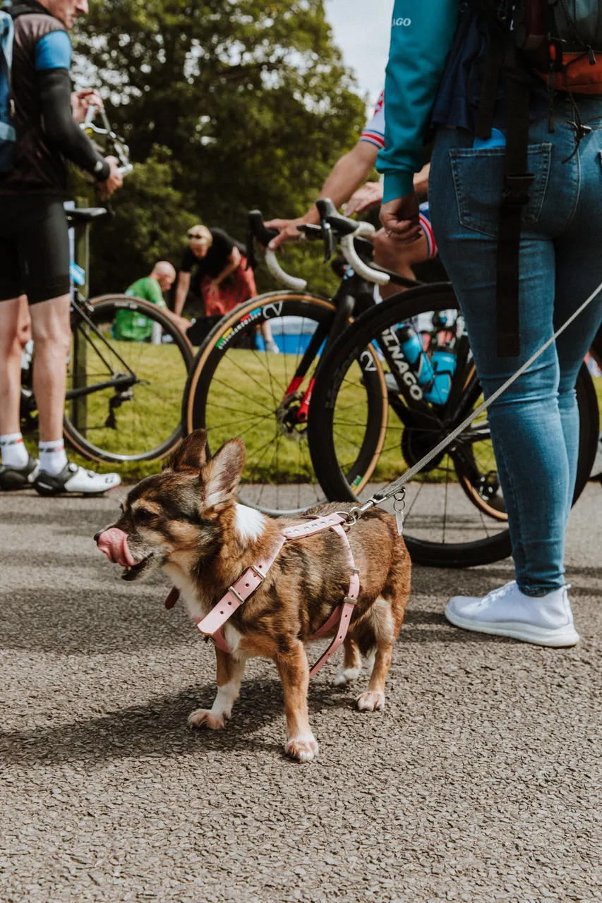 2023 UCI Cycling World Championships - Day 2 - Gran Fondo