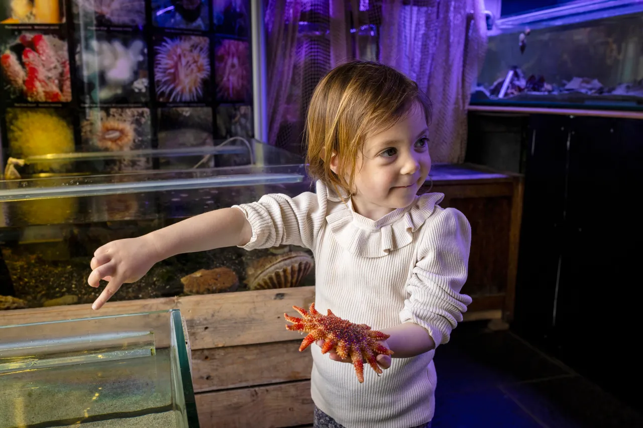 Mull Aquarium in Tobermory