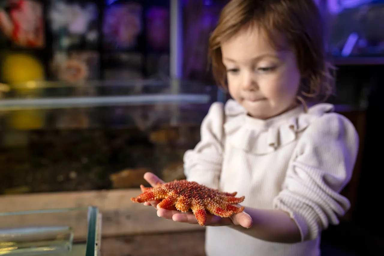 Mull Aquarium in Tobermory