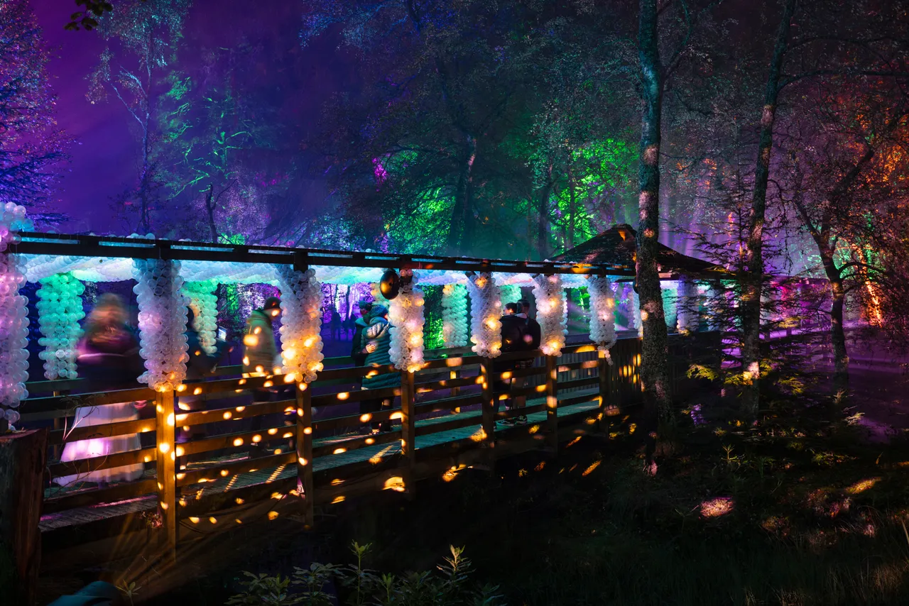 The Enchanted Forest