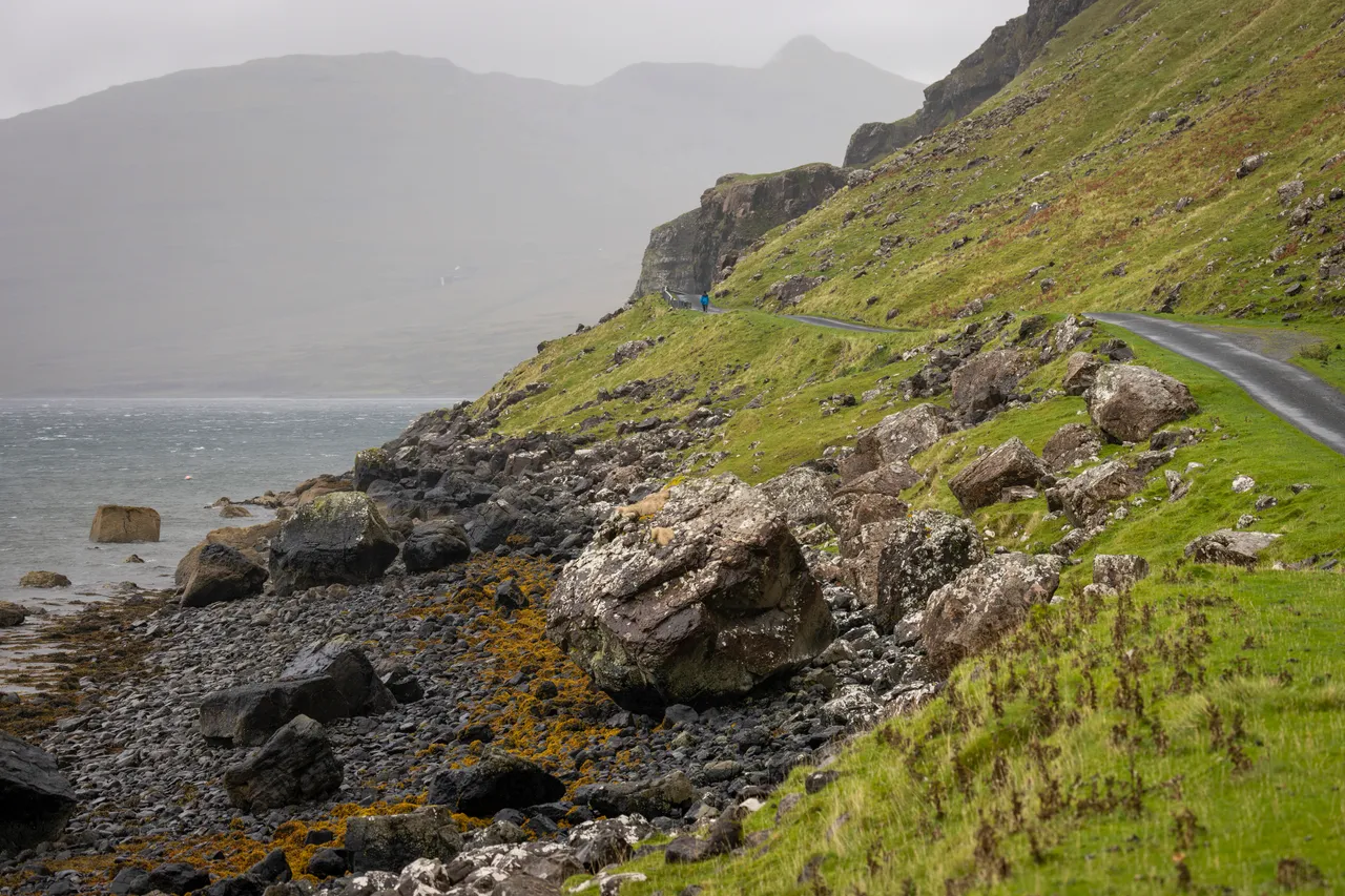 Coastal walk