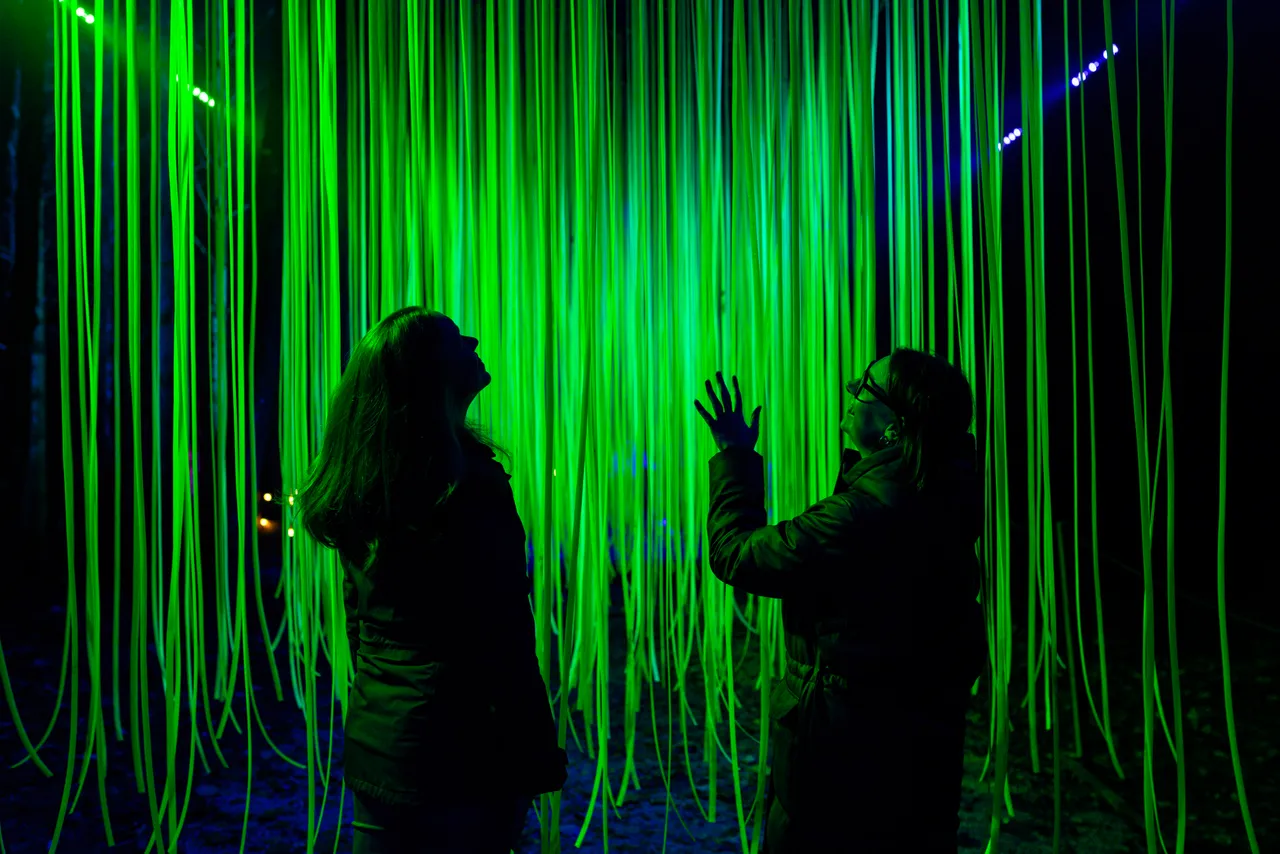 The Enchanted Forest