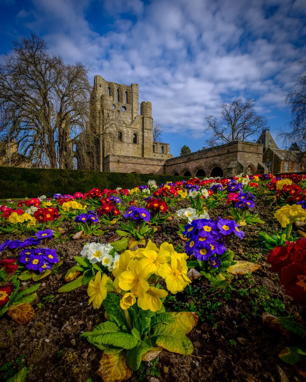 Kelso Abbey