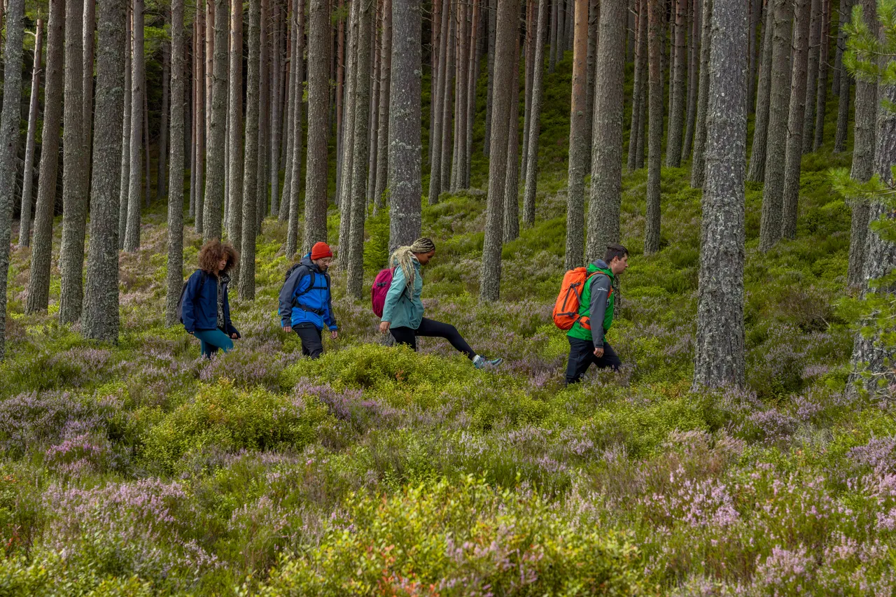 Cairngorms National Park