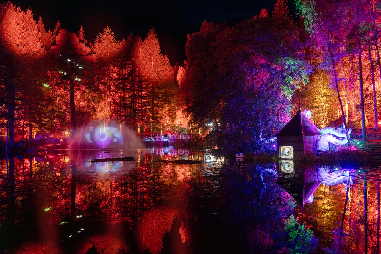 The Enchanted Forest