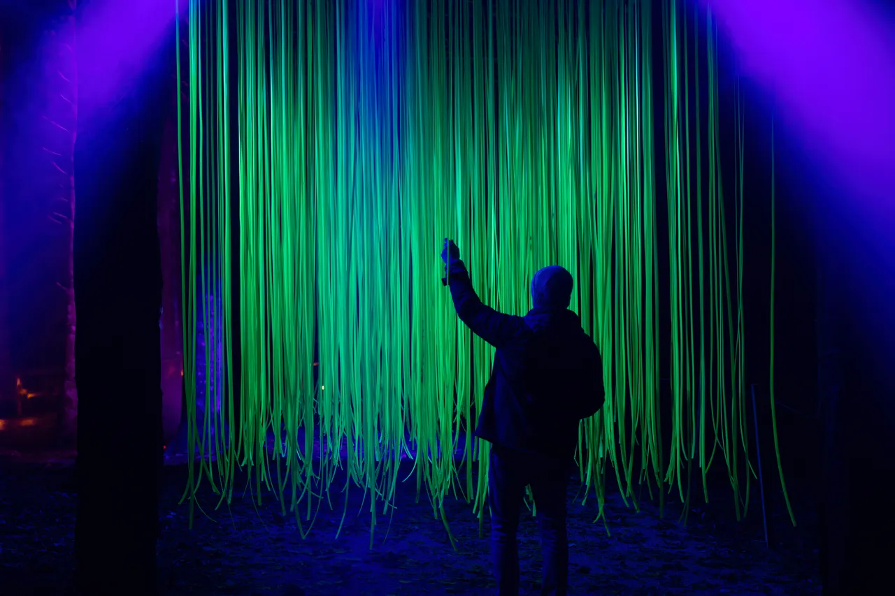 The Enchanted Forest