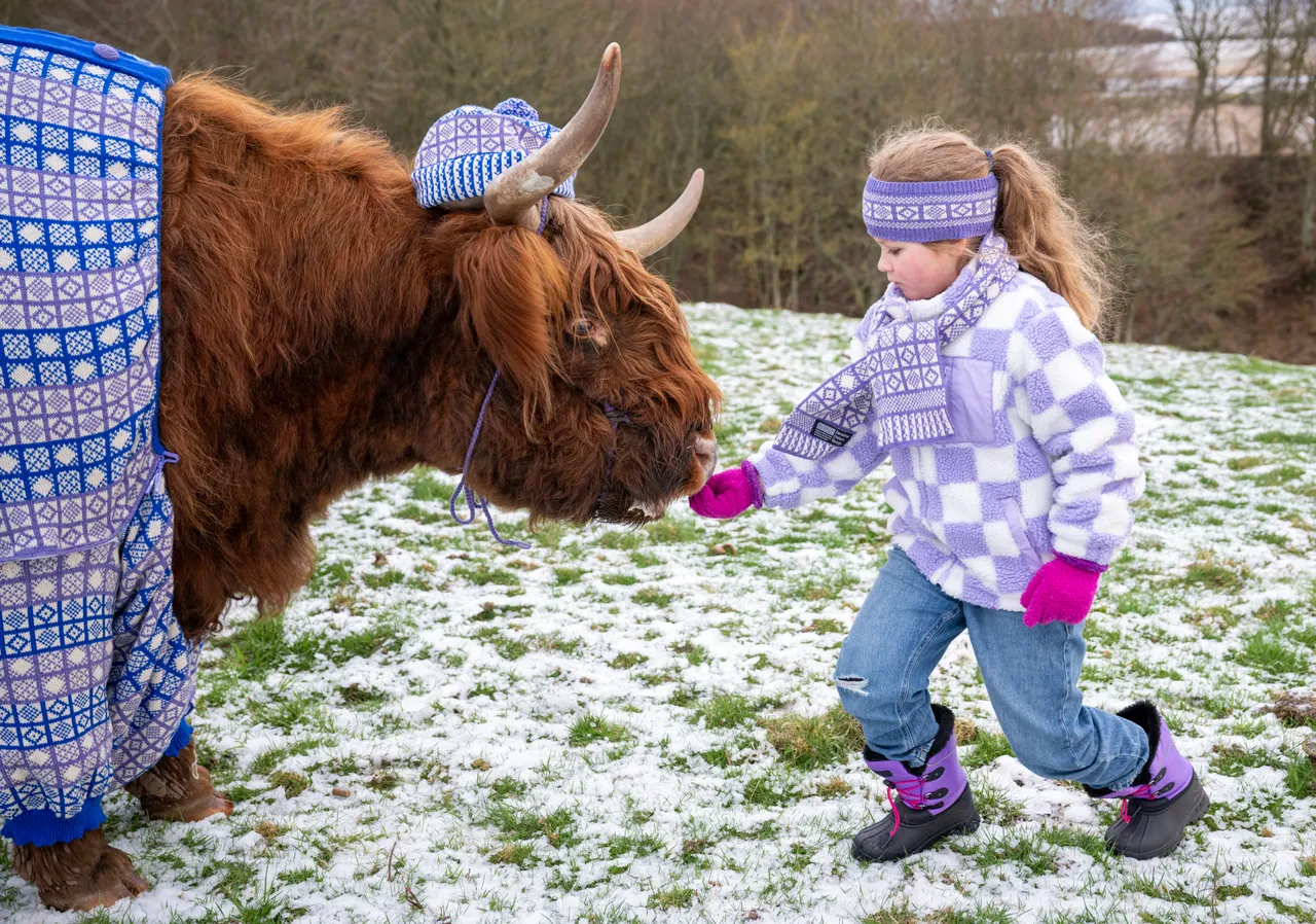 Coos in Cardis