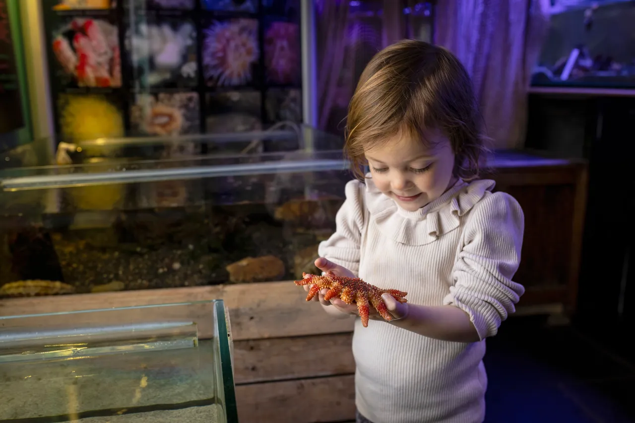 Mull Aquarium in Tobermory
