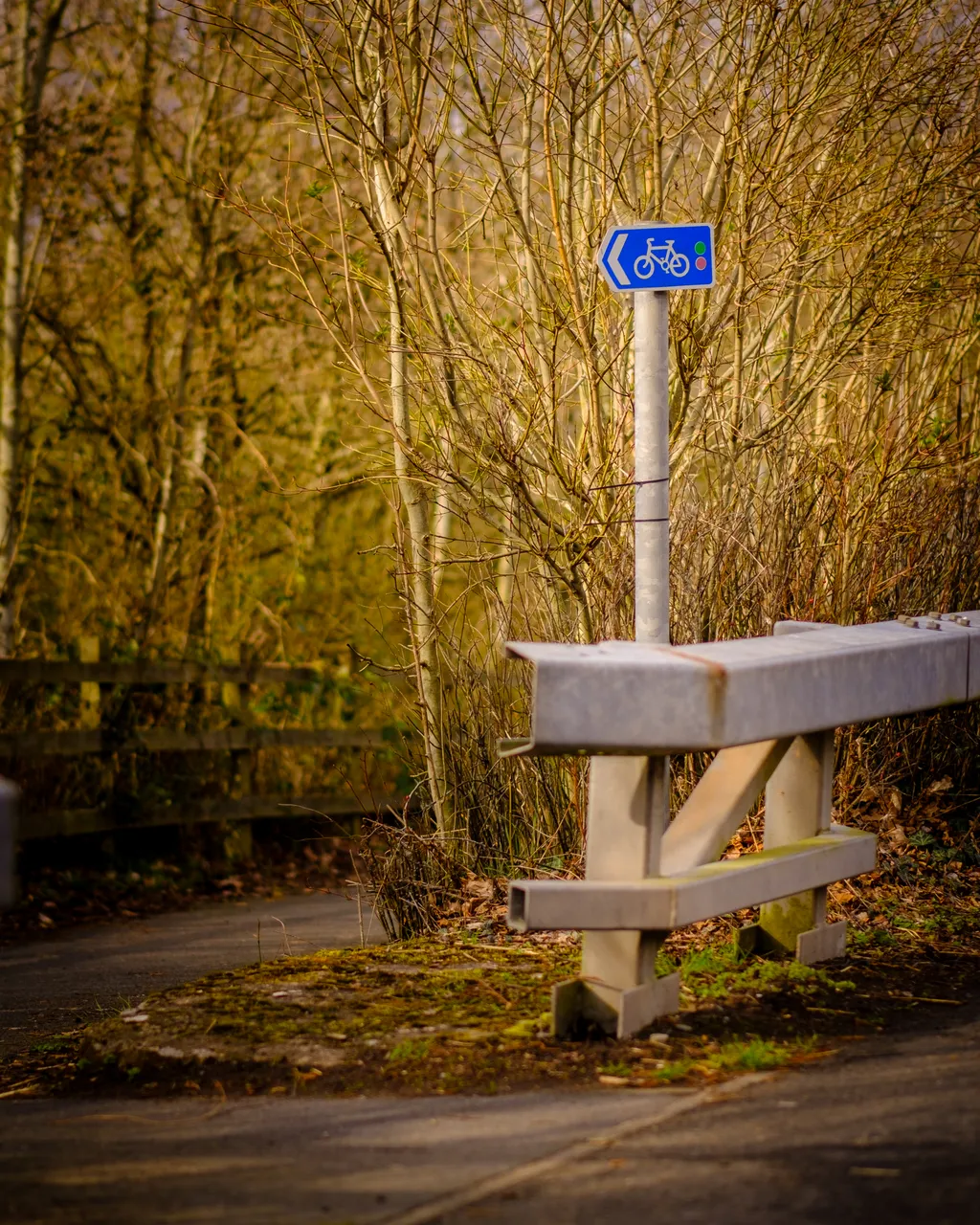 Cycling Information