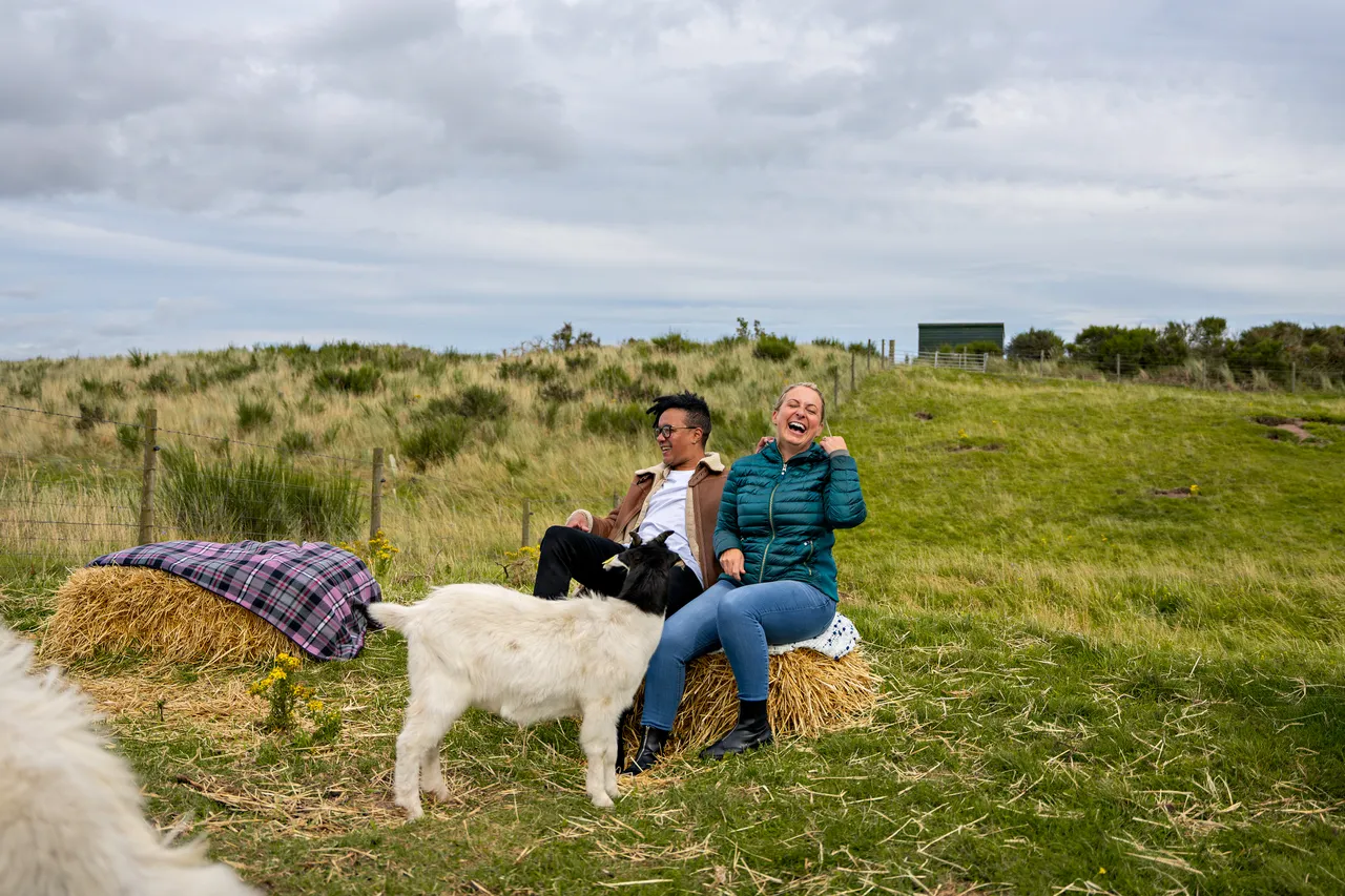 Lunan Bay Farm – Scottish Cashmere Goats