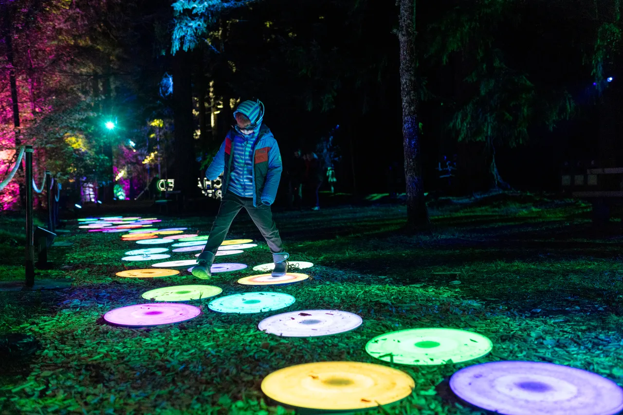 The Enchanted Forest