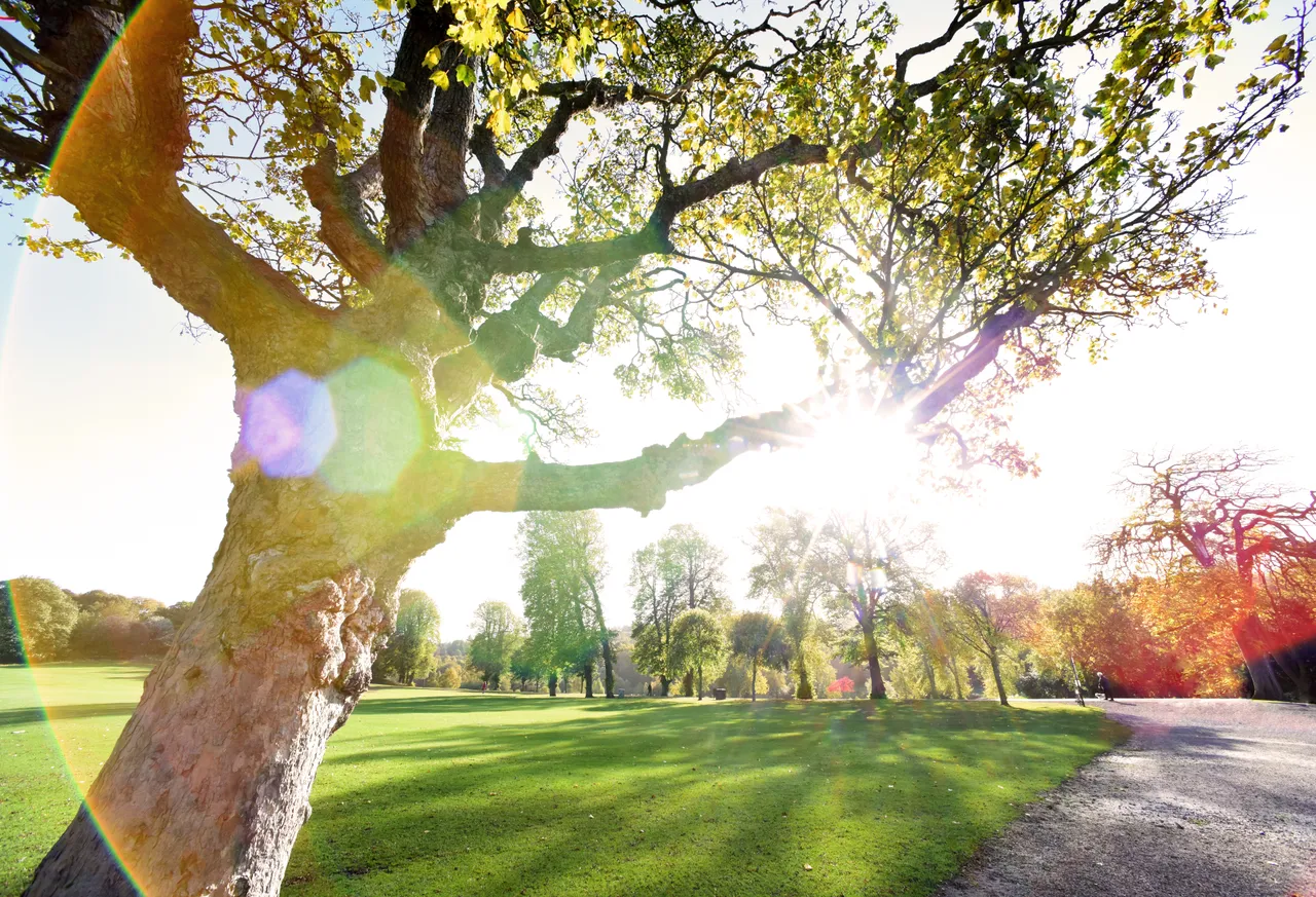 Callendar House and Park