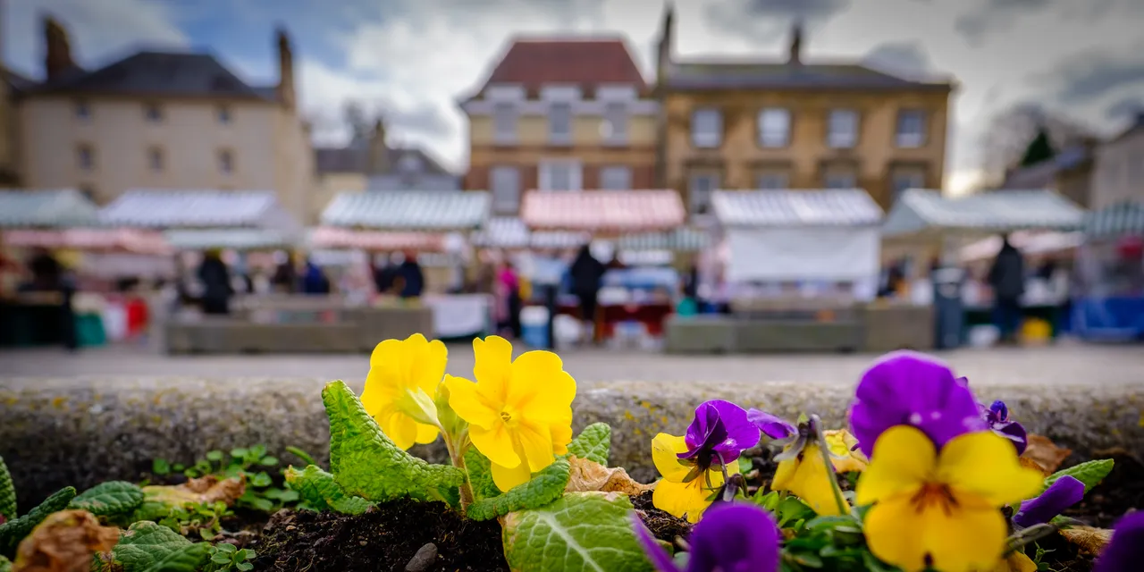 Kelso Farmers Market (KFM)
