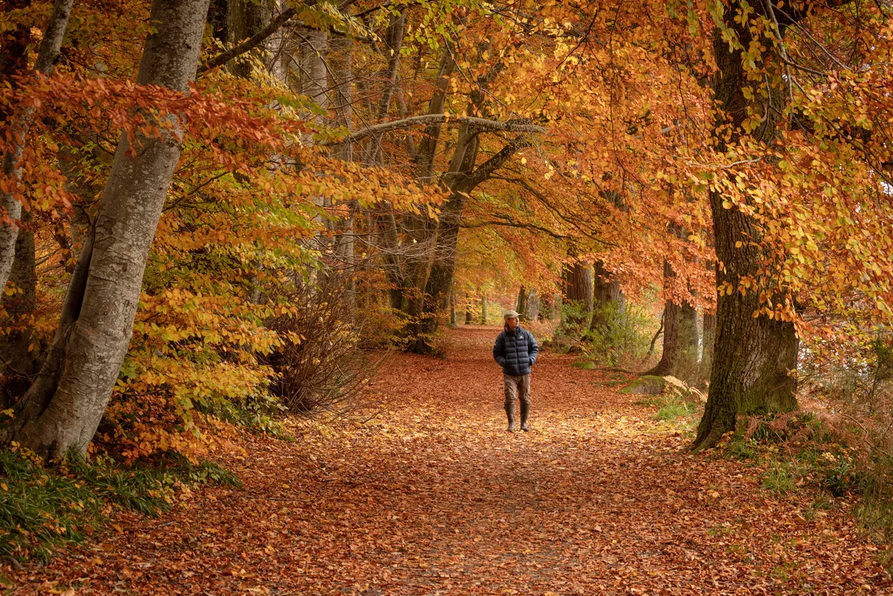 Lady Mary's Walk