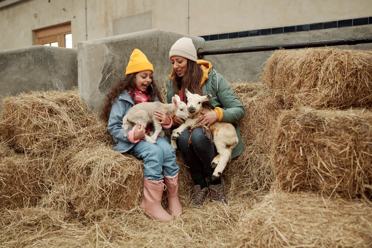 Solsgirth Home Farm