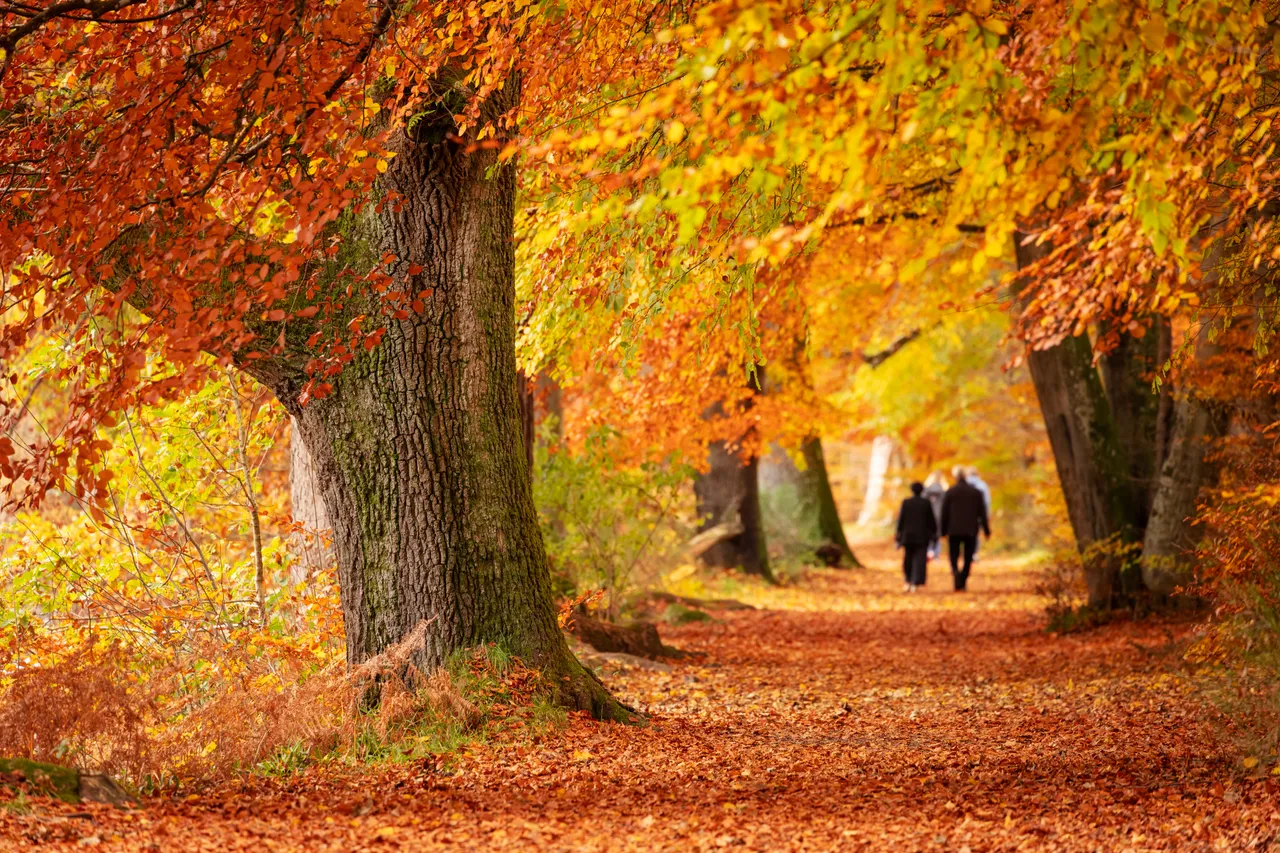 Lady Mary’s Walk