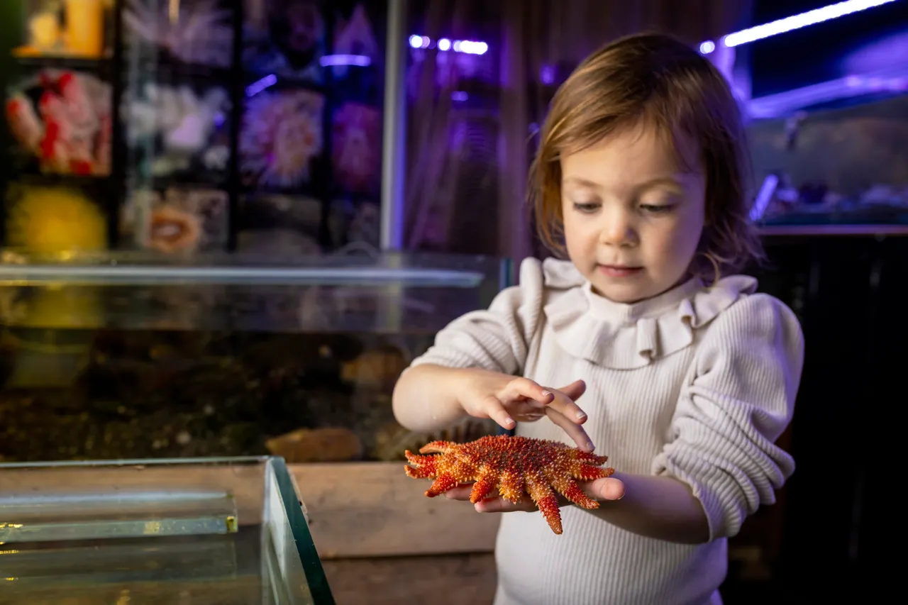 Mull Aquarium in Tobermory
