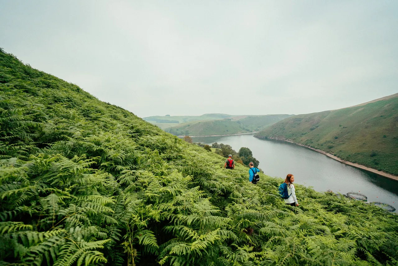 Clywedog reservoir, Glyndŵr's Way.