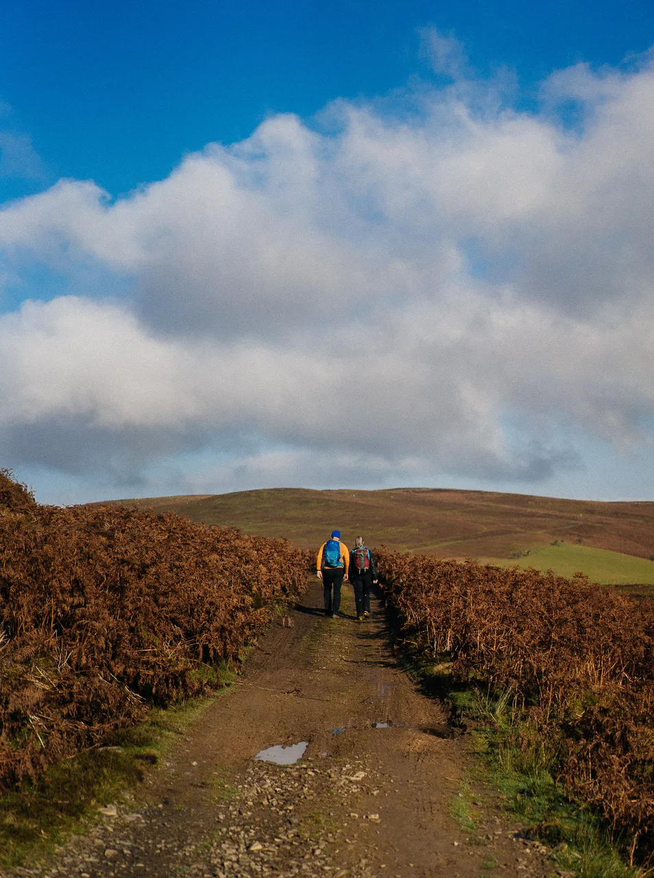 Beacon Hill, on Glyndwr's Way.