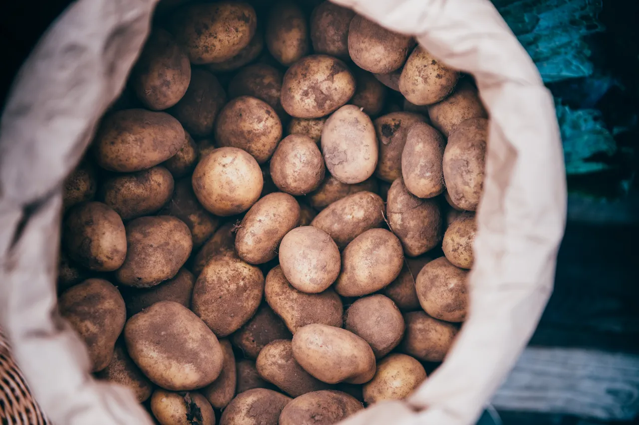Narberth Food Festival 2019