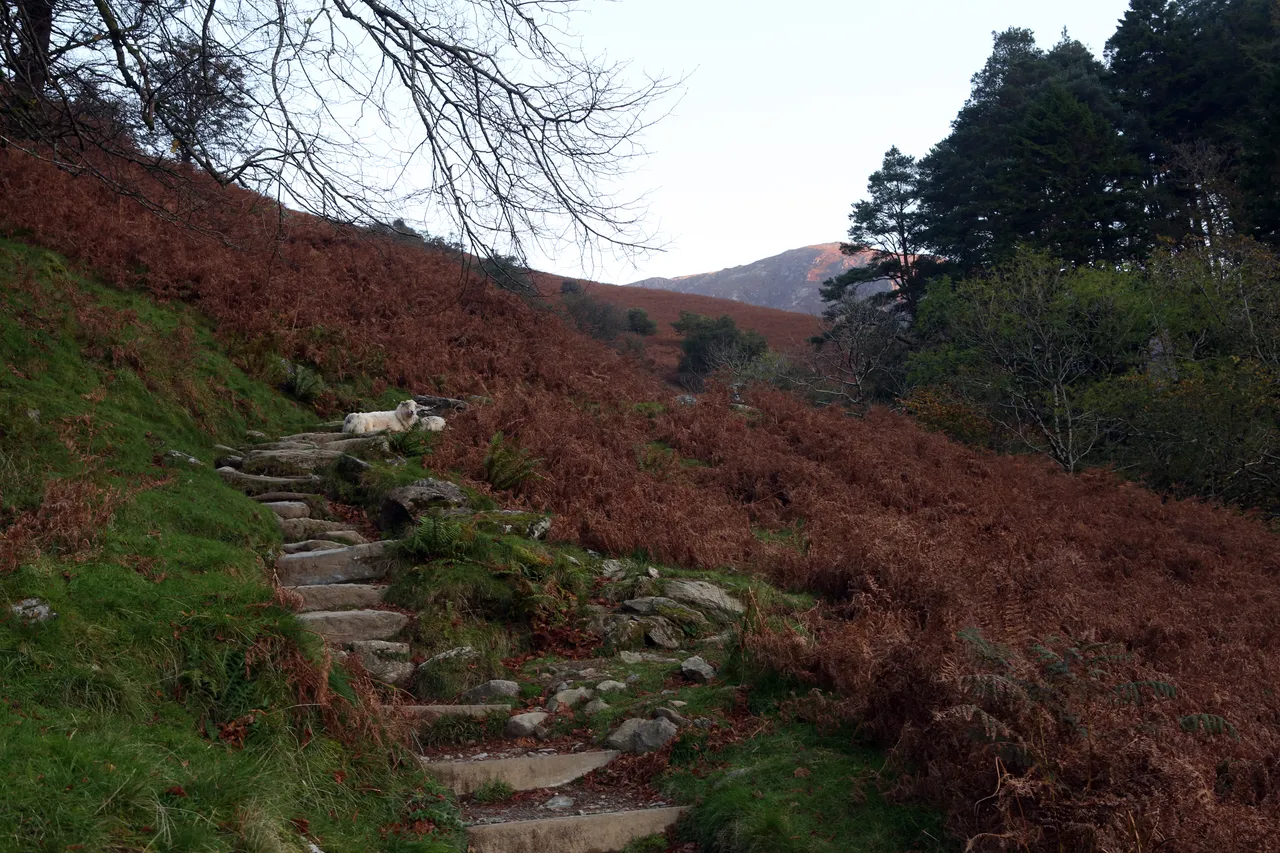 Snowdonia National Park