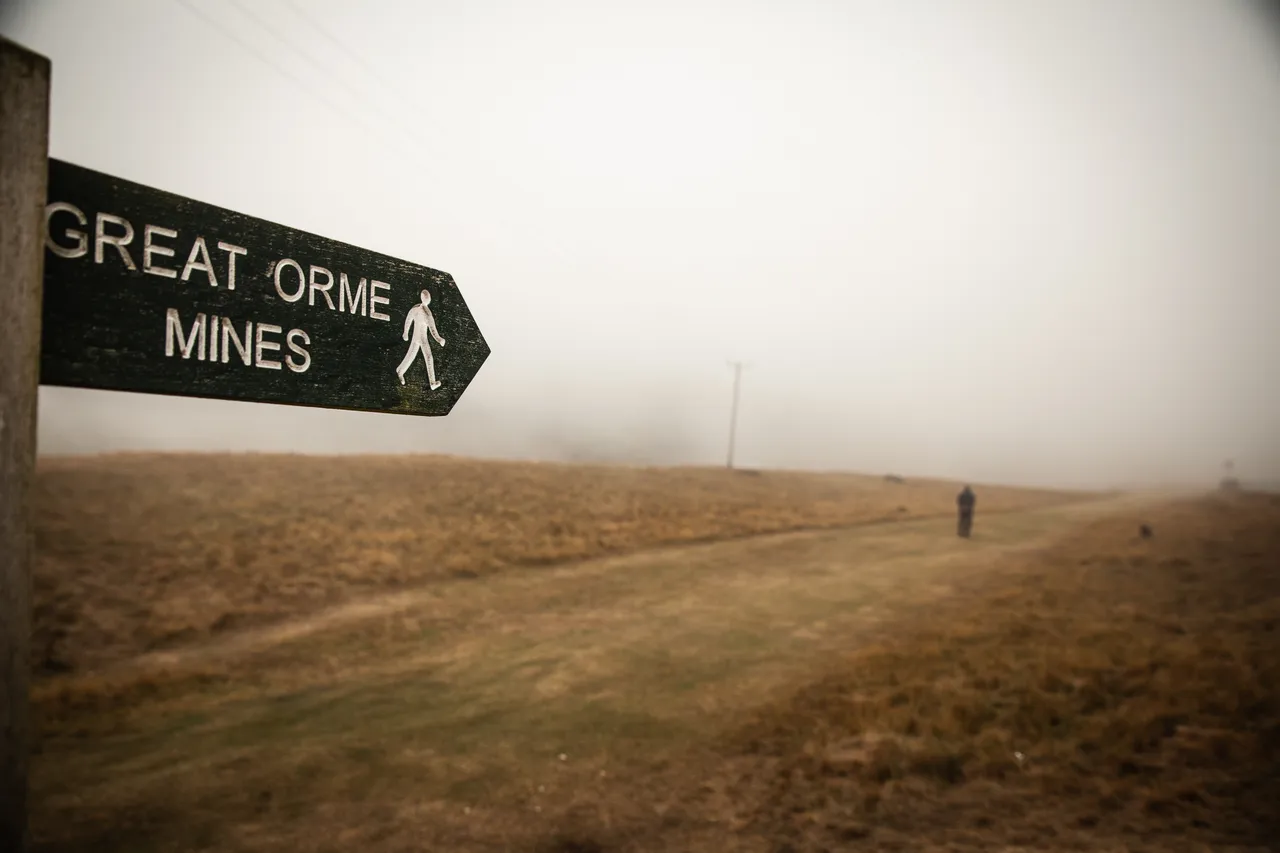 WCP_MG_9356