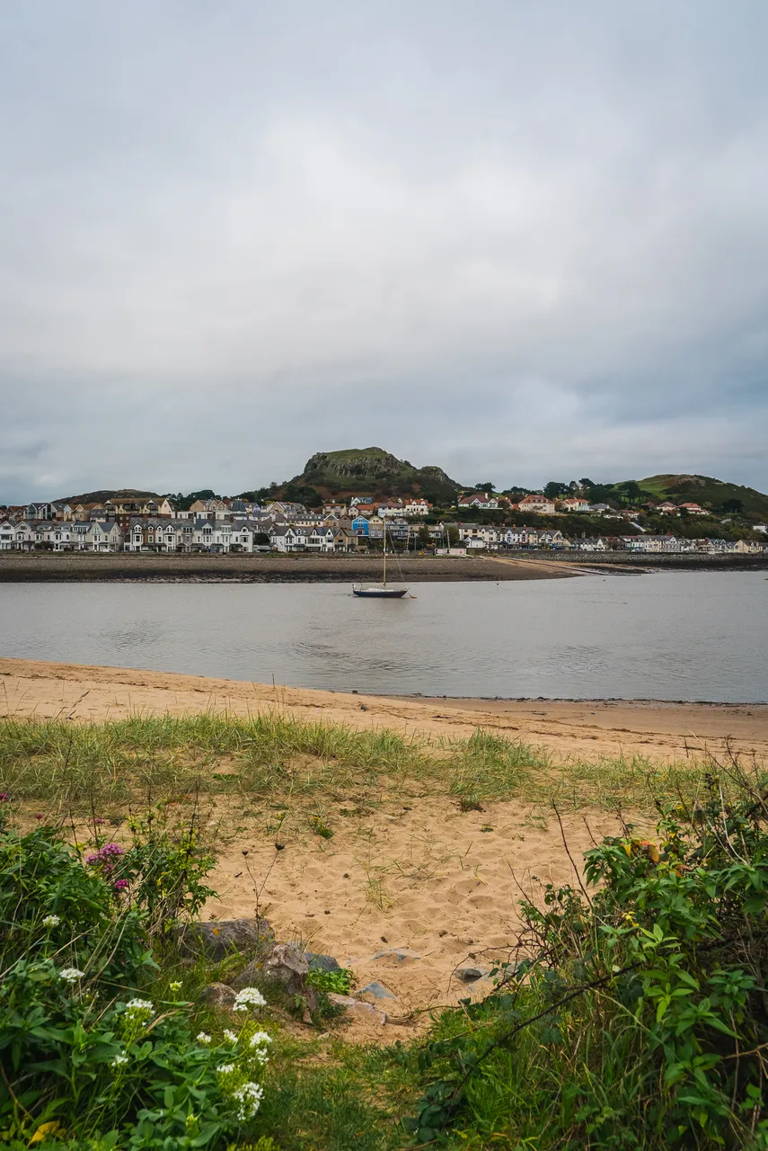 WCP_DSC08936