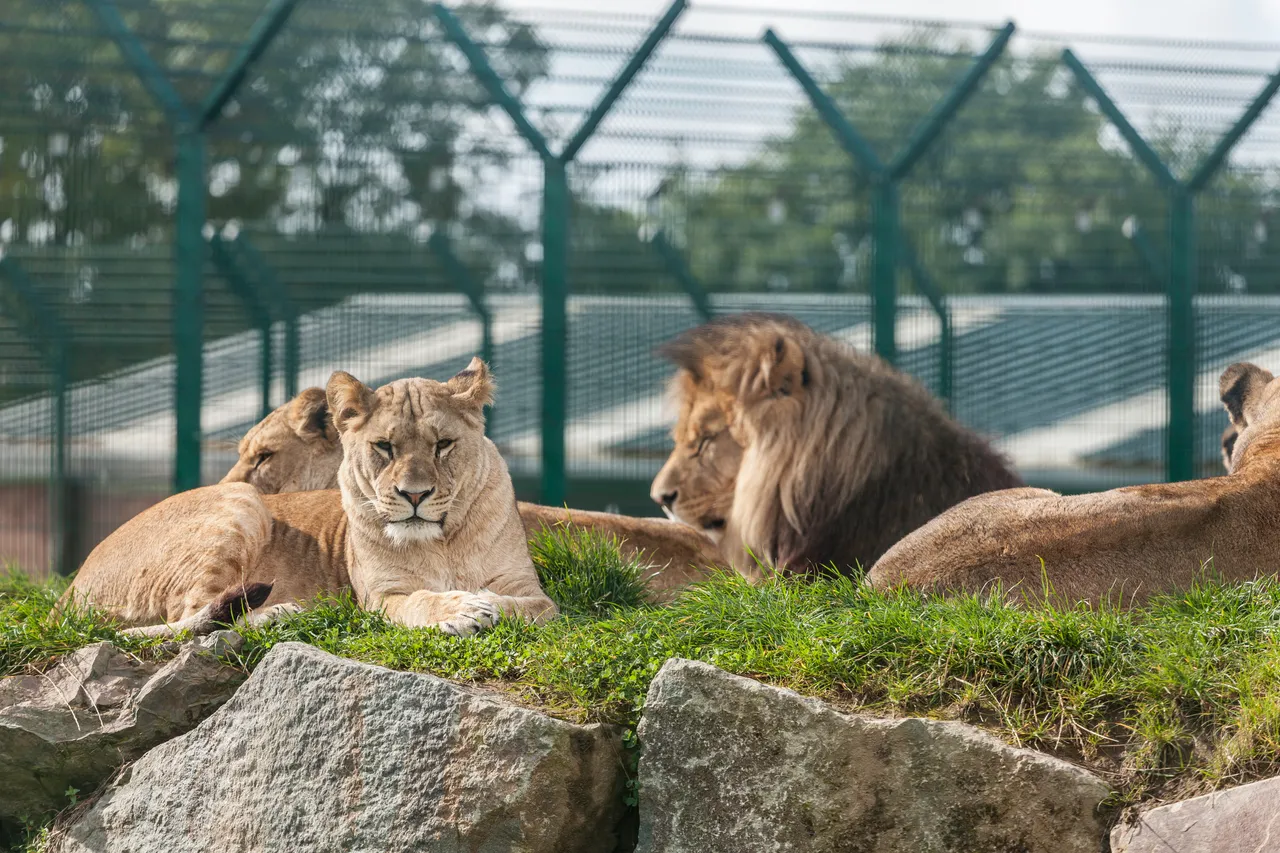 Folly Farm, Pembrokeshire