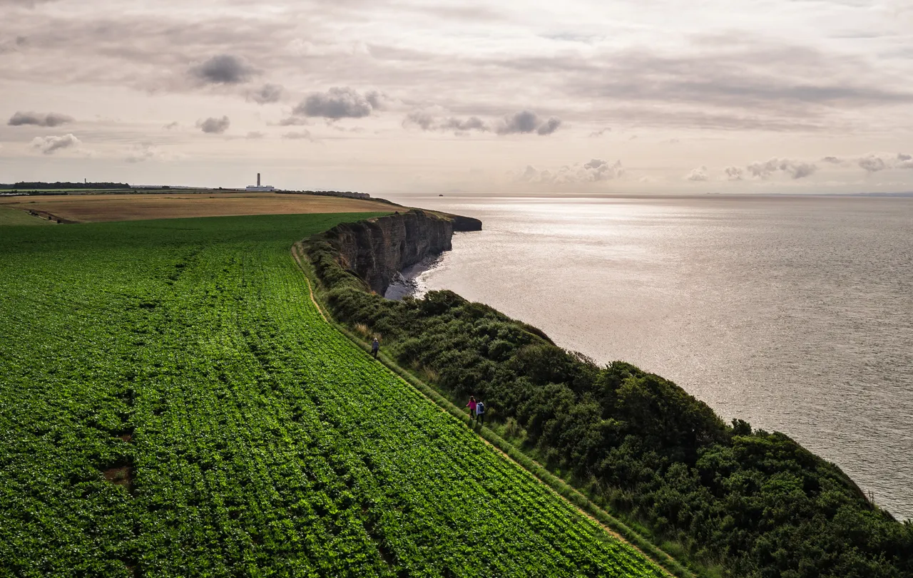 WCP_DJI_0050