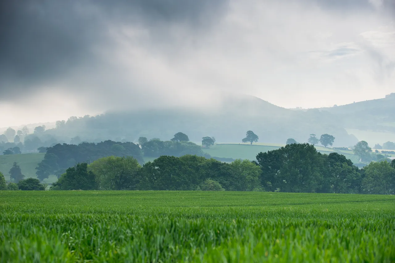Hay on Wye Festival, Powys