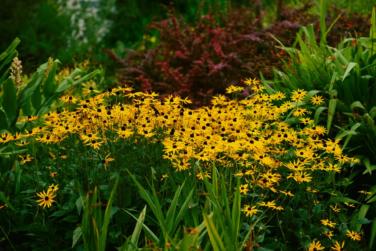 Bodnant Garden Centre, Snowdonia